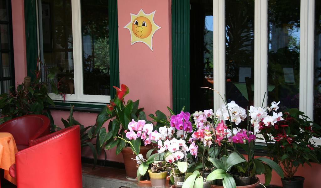 Hotel 5 Terre Nel Sole Deiva Marina Exterior foto